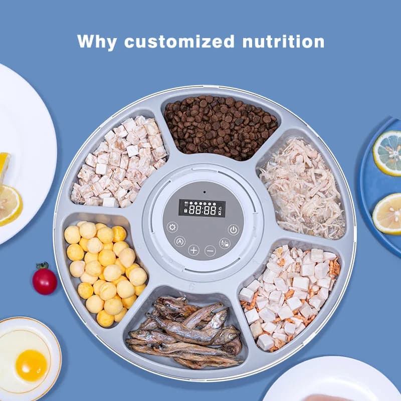 TENZONN automatic pet feeder — developed and produced by Vansity
